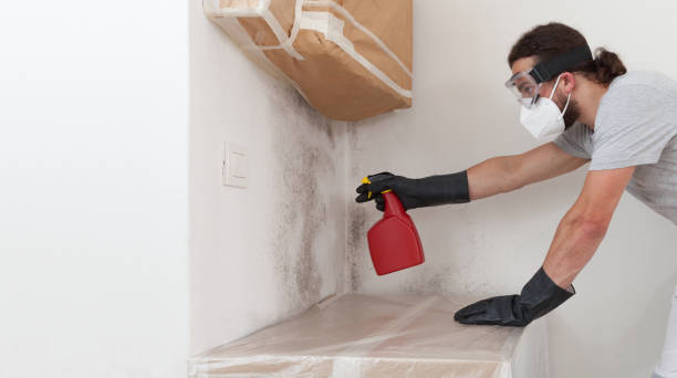 Professional Crawl Space Mold Removal technician working in Wallington, NJ