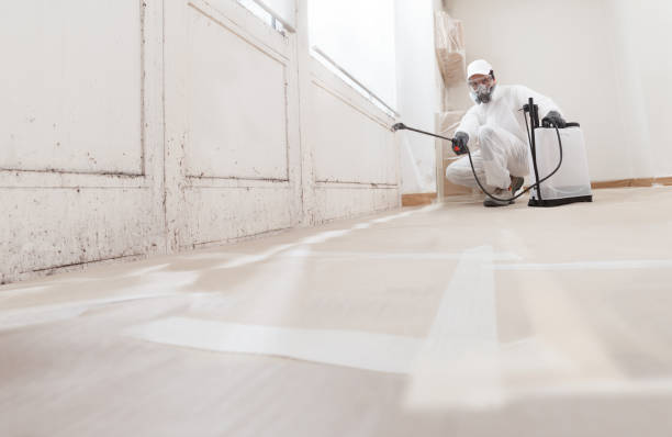 24/7 Emergency Crawl Space Mold Removal experts in Wallington, NJ